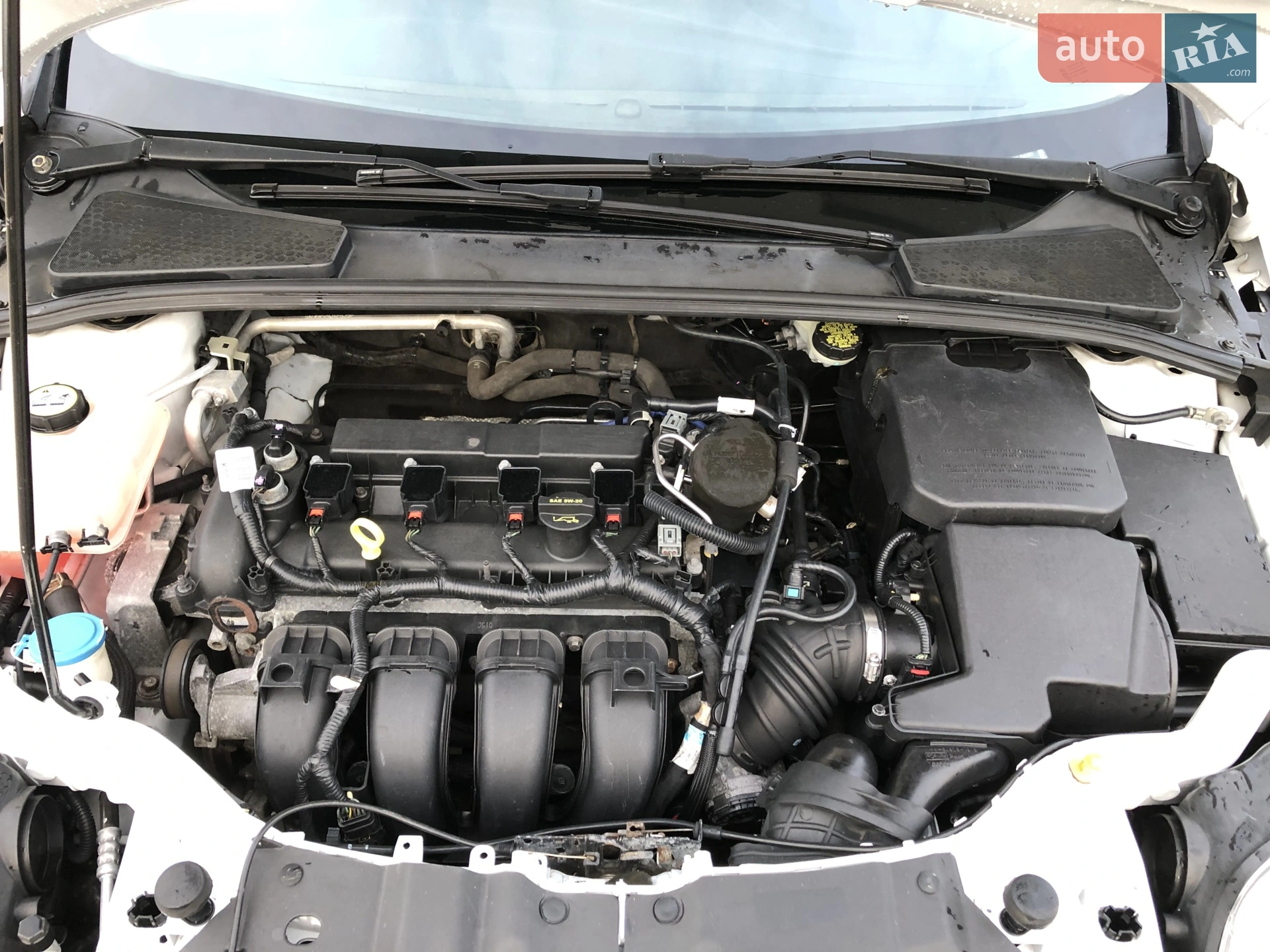 2014 Ford Focus - мініатюра 54
