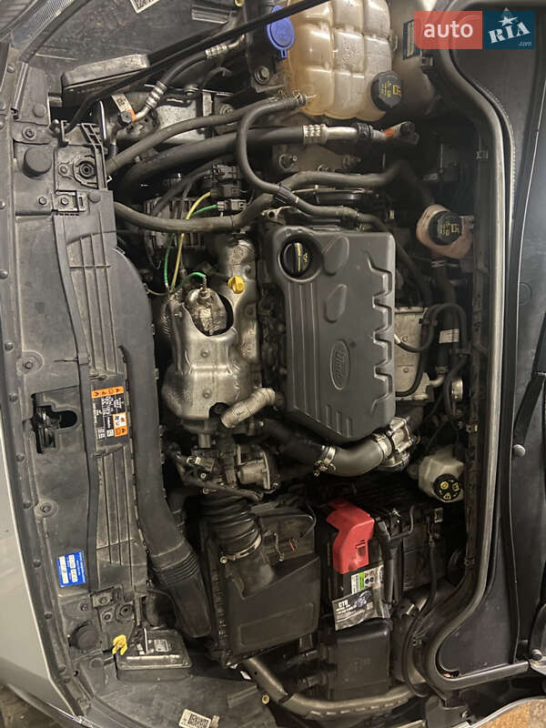 Универсал Ford Focus 2019 в Вышгороде