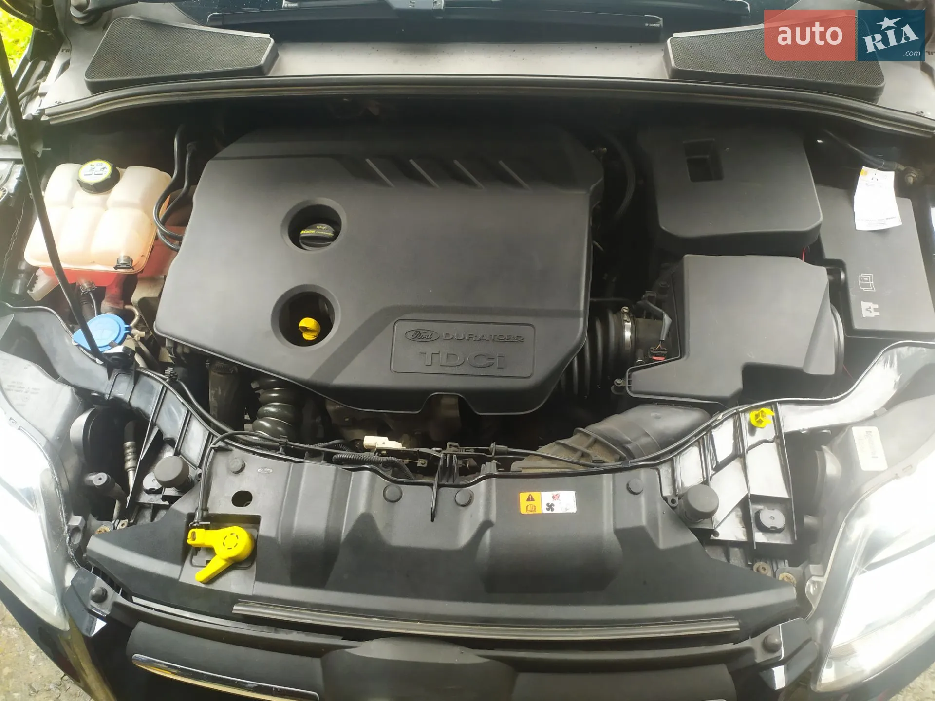 2013 Ford Focus - мініатюра 4