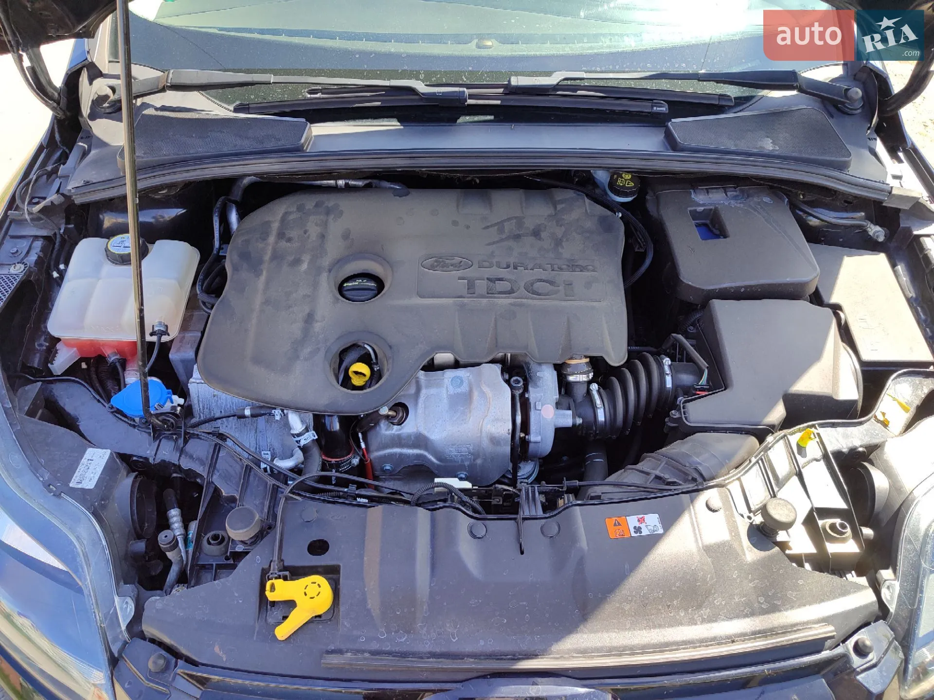 2013 Ford Focus - мініатюра 42