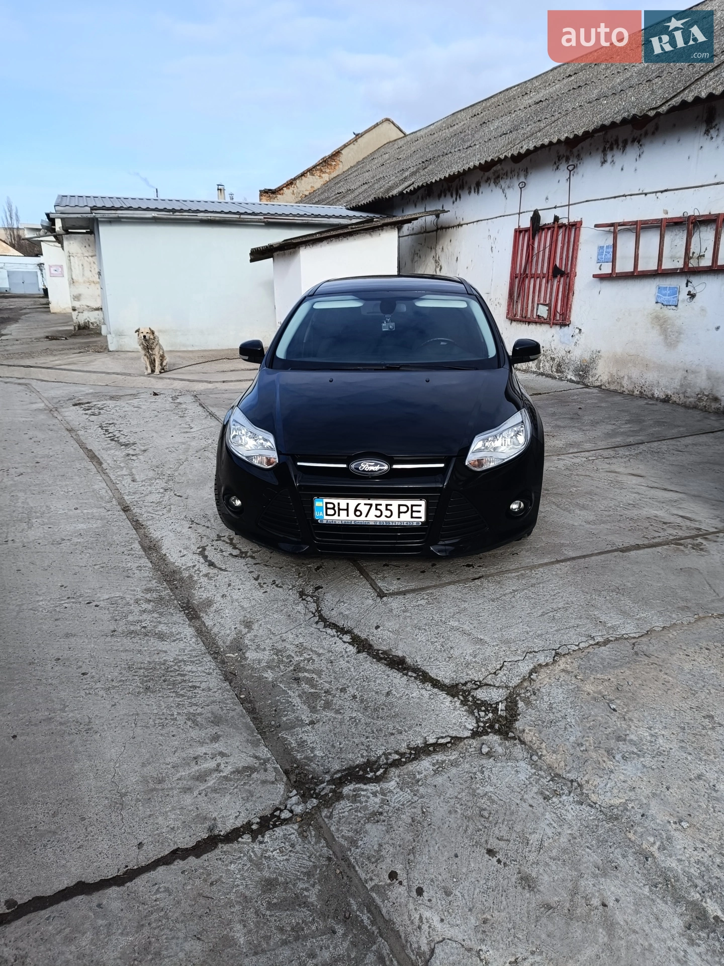 2014 Ford Focus - мініатюра 9