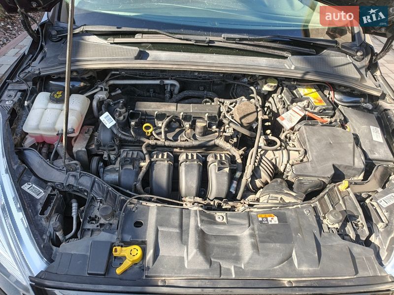 Хетчбек Ford Focus 2015 в Одесі