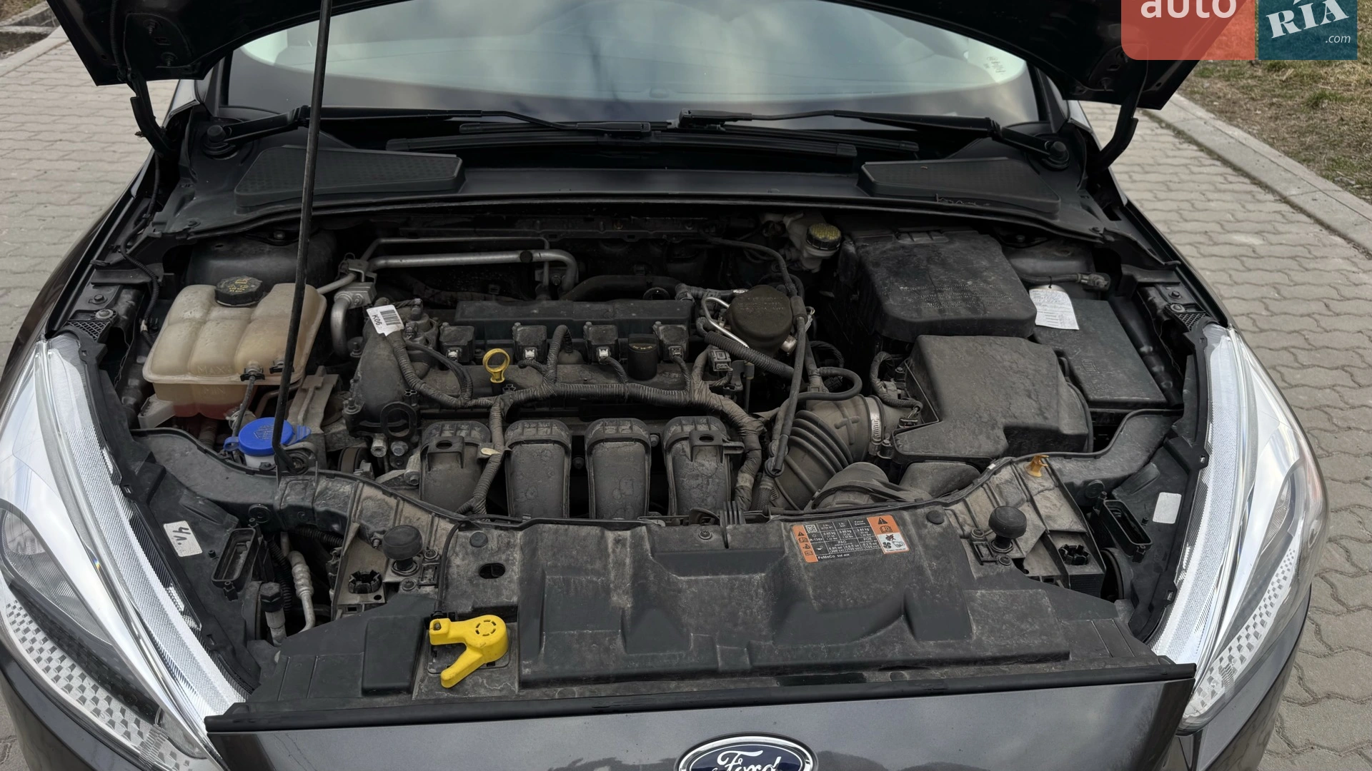 2015 Ford Focus - мініатюра 10