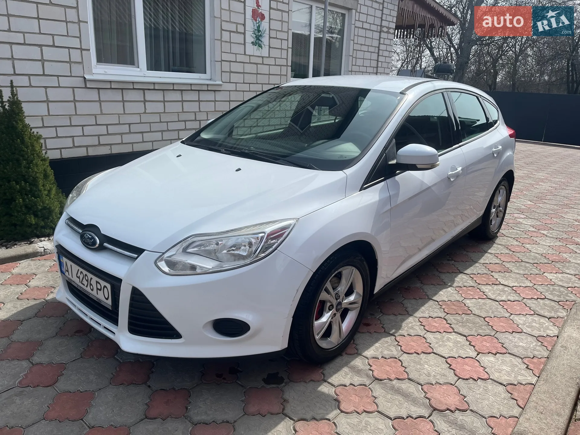 2013 Ford Focus - мініатюра 2
