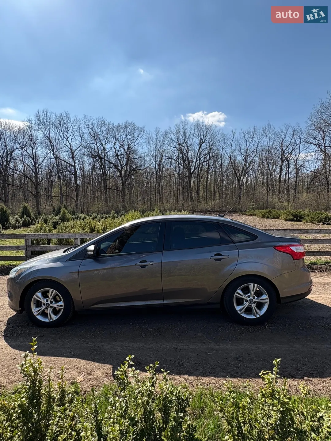 2013 Ford Focus - мініатюра 5