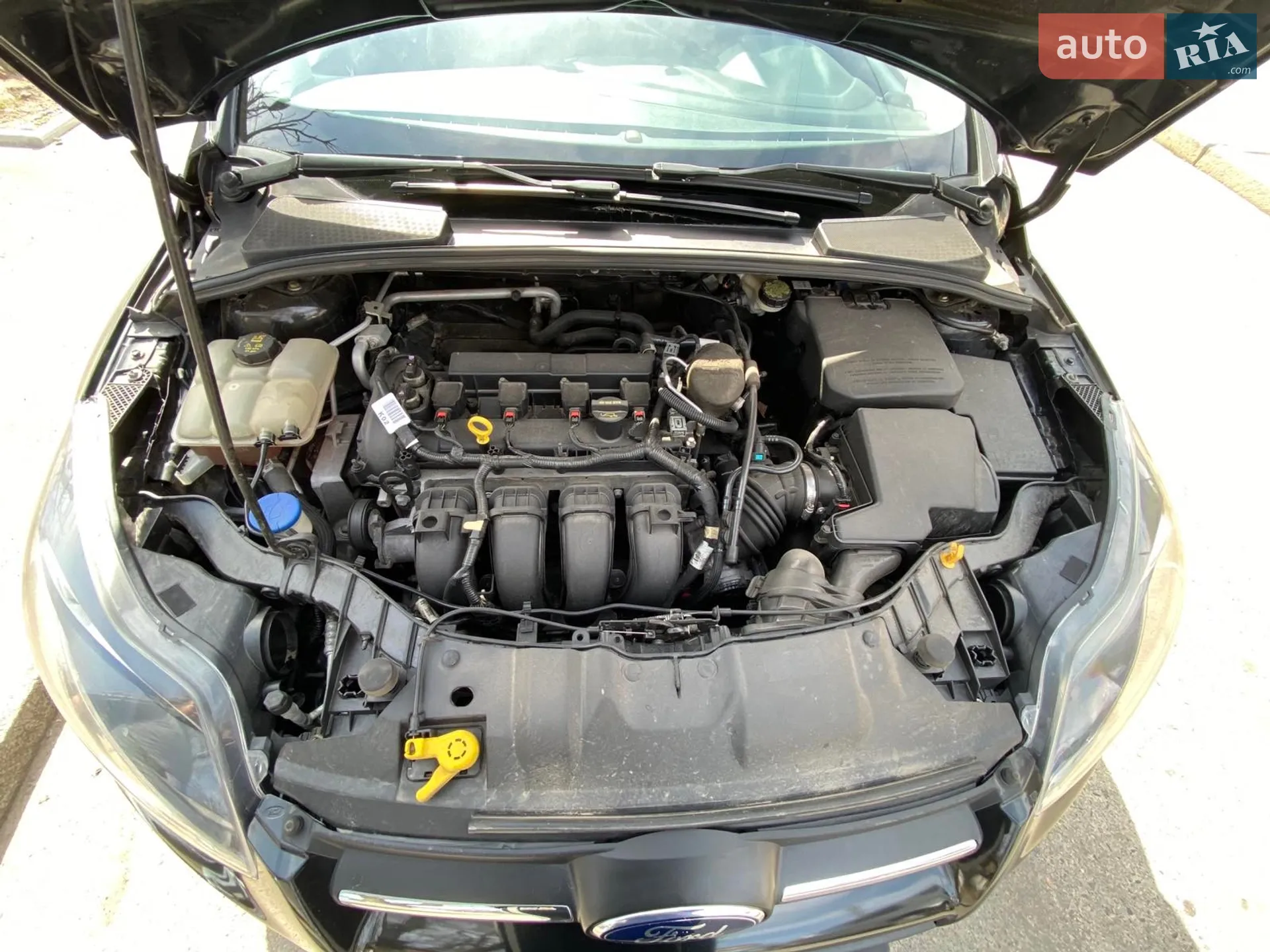 2013 Ford Focus - мініатюра 6