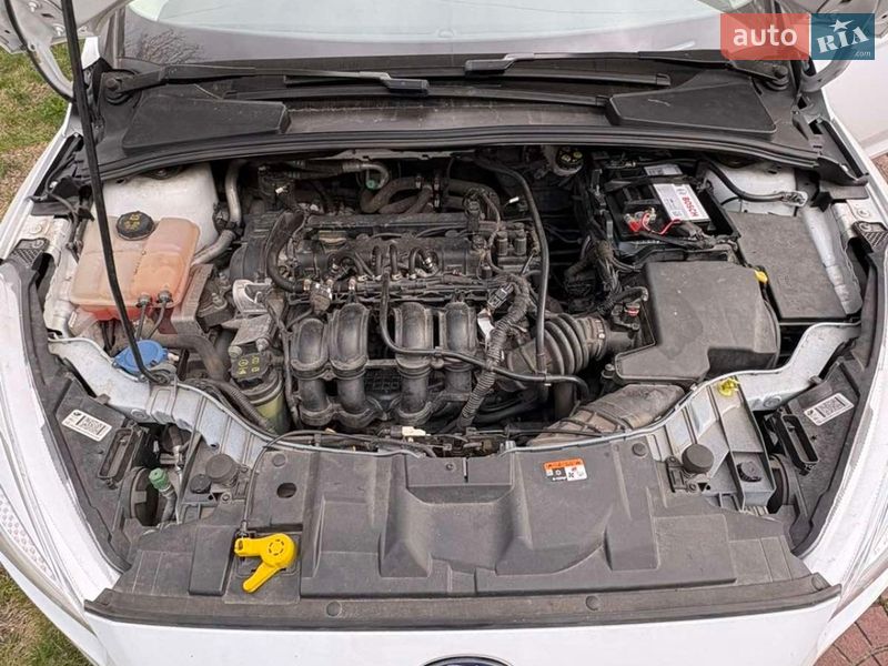 Хэтчбек Ford Focus 2017 в Славуте