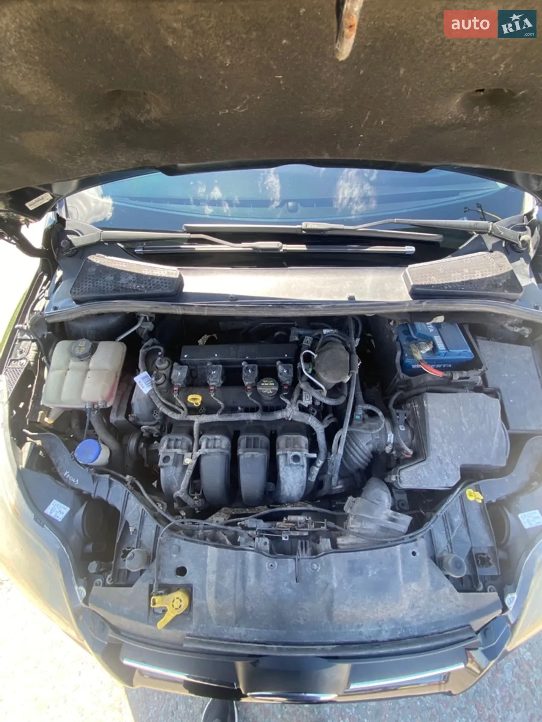2014 Ford Focus - мініатюра 11