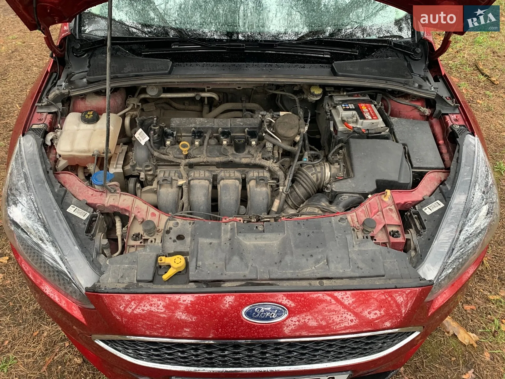 2015 Ford Focus - мініатюра 25