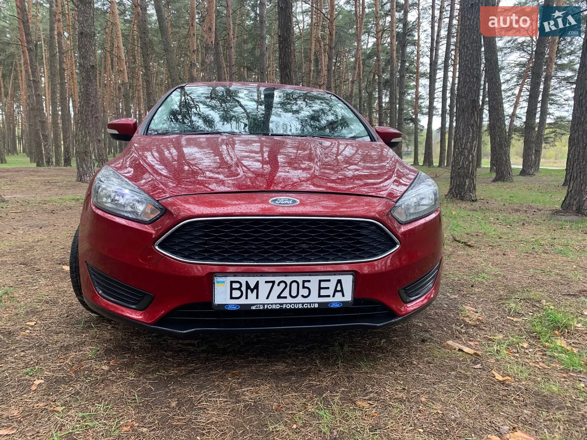 2015 Ford Focus - мініатюра 9