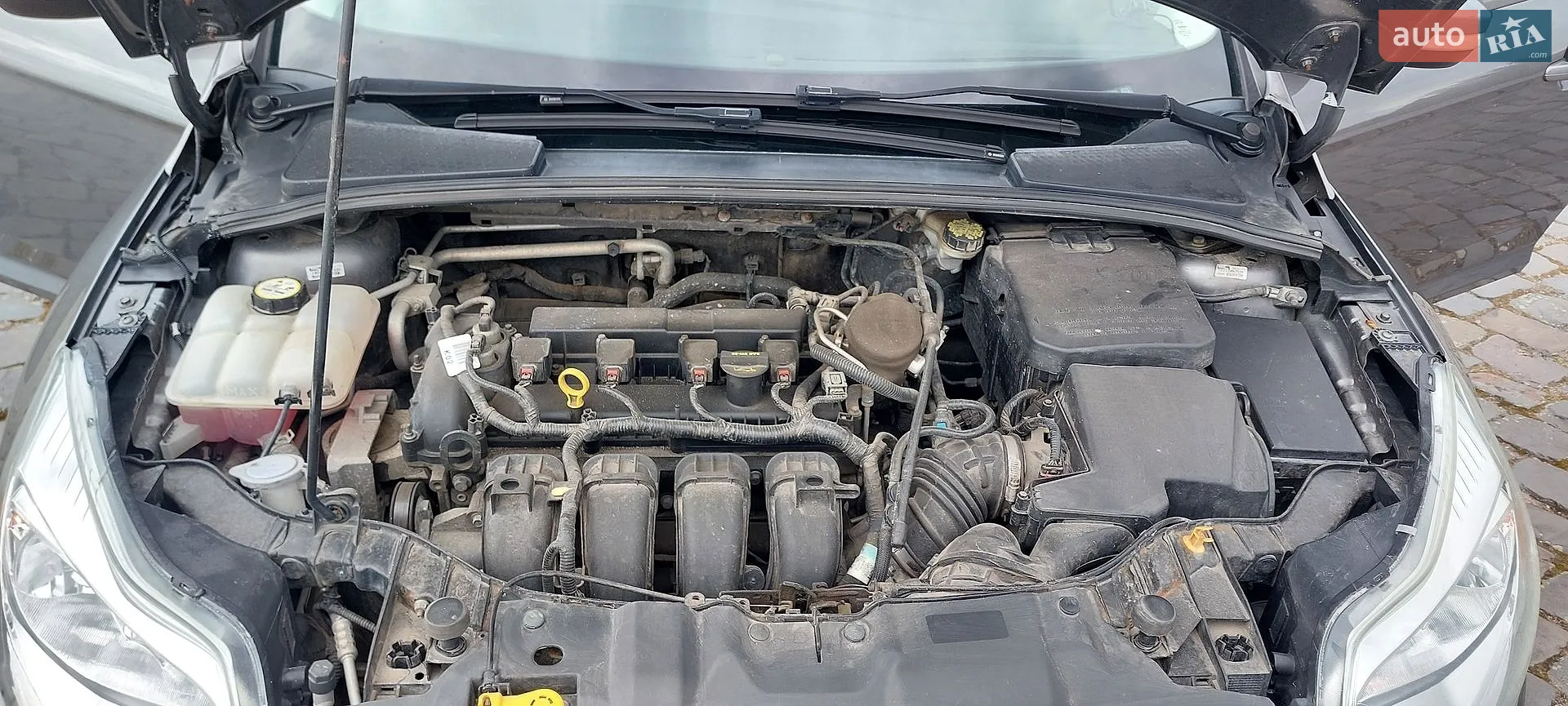 2013 Ford Focus - мініатюра 10