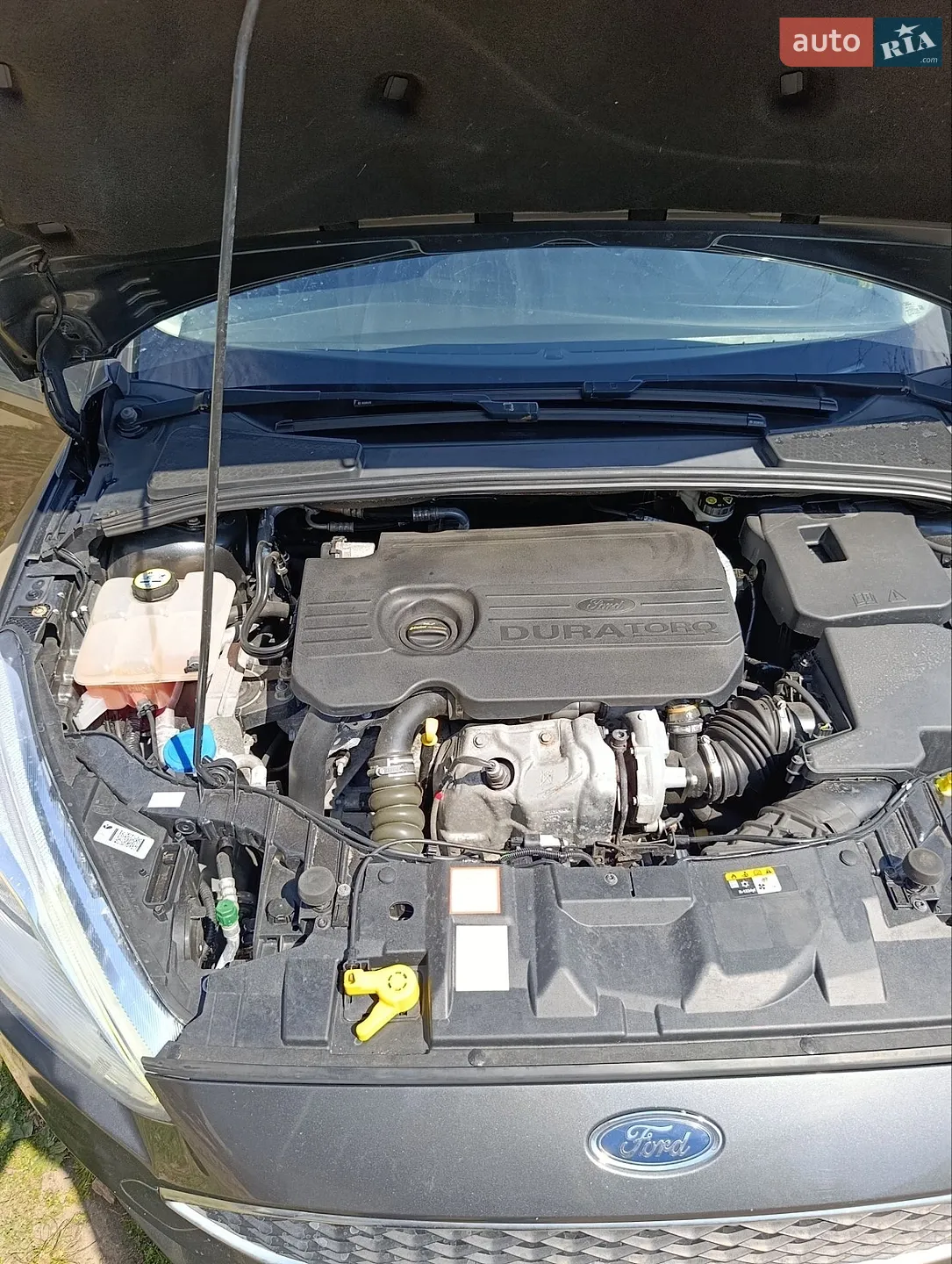 2016 Ford Focus - мініатюра 6