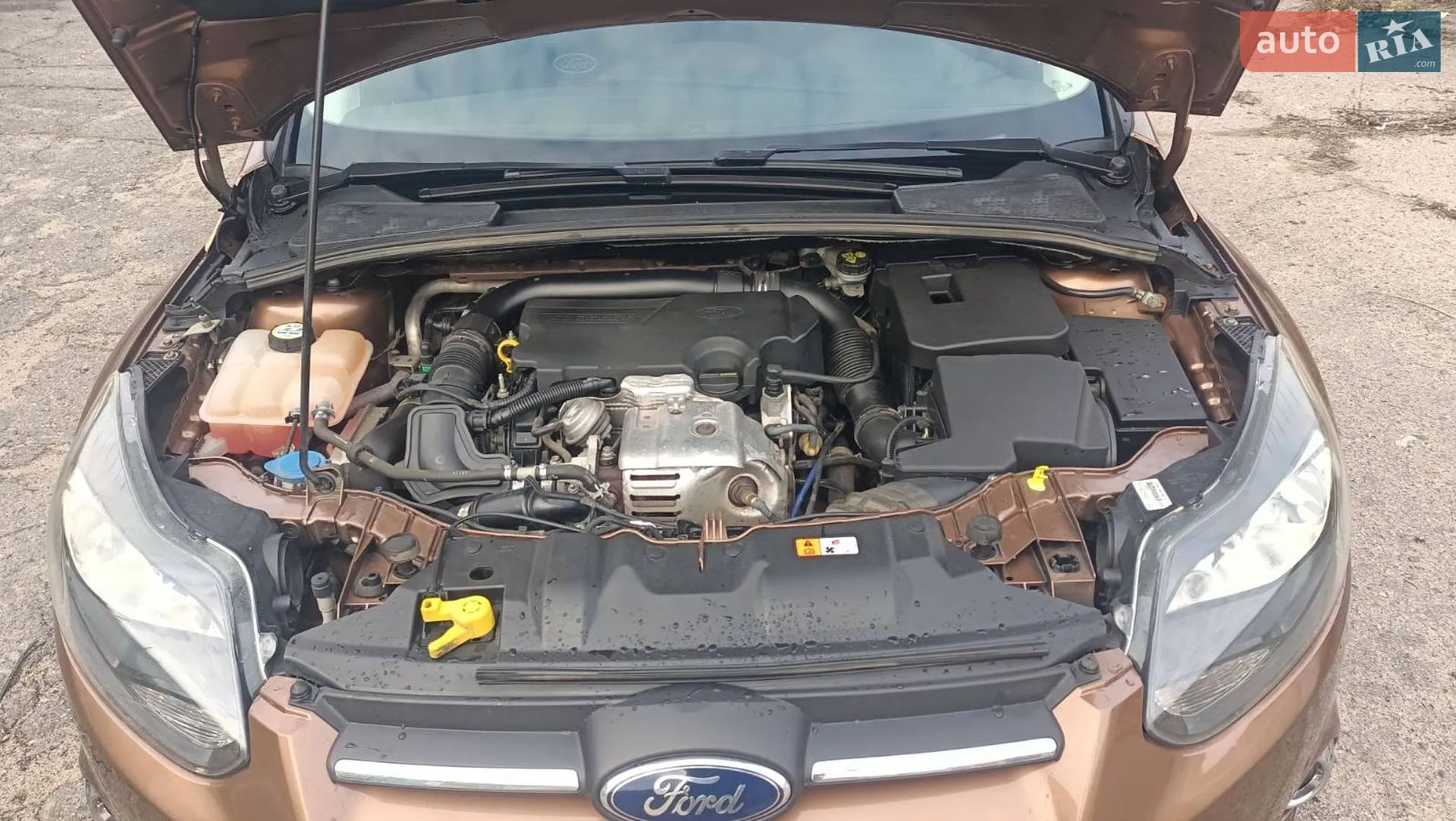 2013 Ford Focus - мініатюра 15