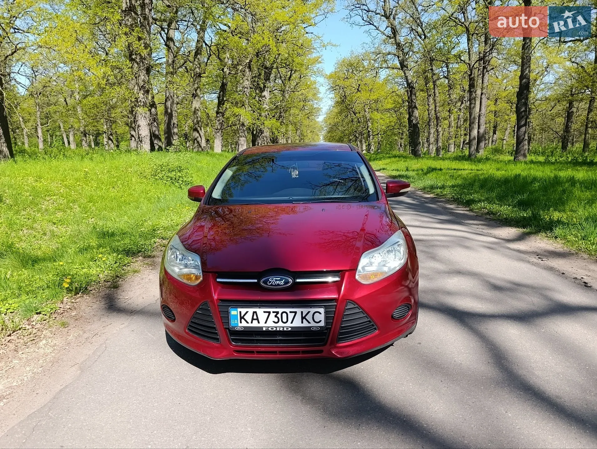 2014 Ford Focus - мініатюра 10