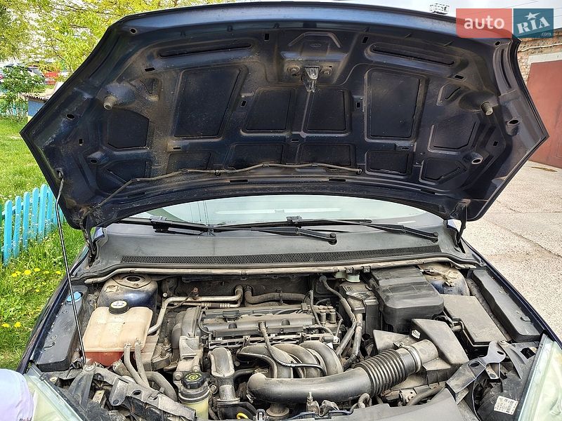 Хэтчбек Ford Focus 2006 в Чернигове