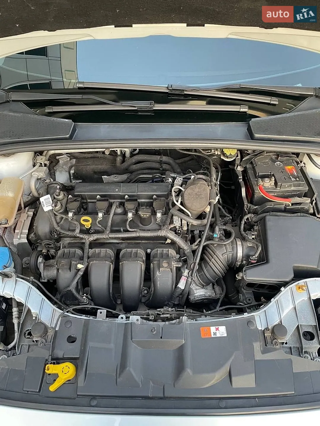 2015 Ford Focus - мініатюра 2