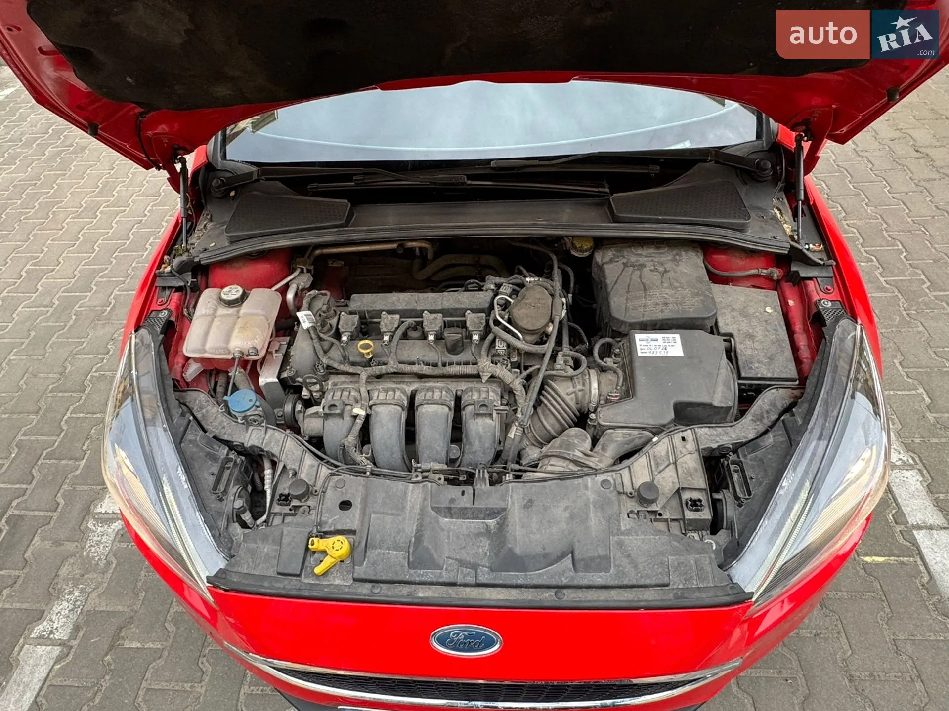 2015 Ford Focus - мініатюра 11