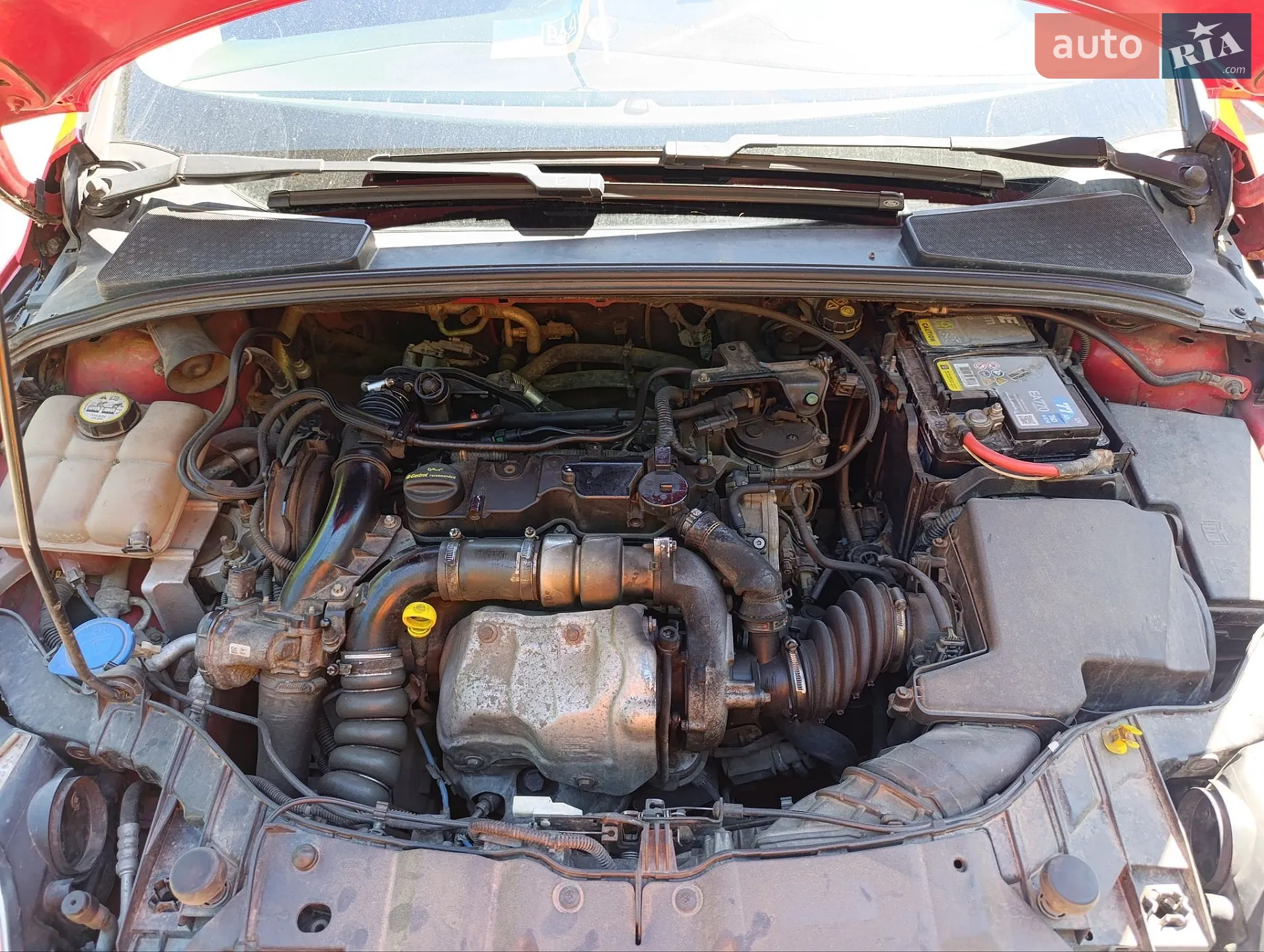 2011 Ford Focus - мініатюра 5
