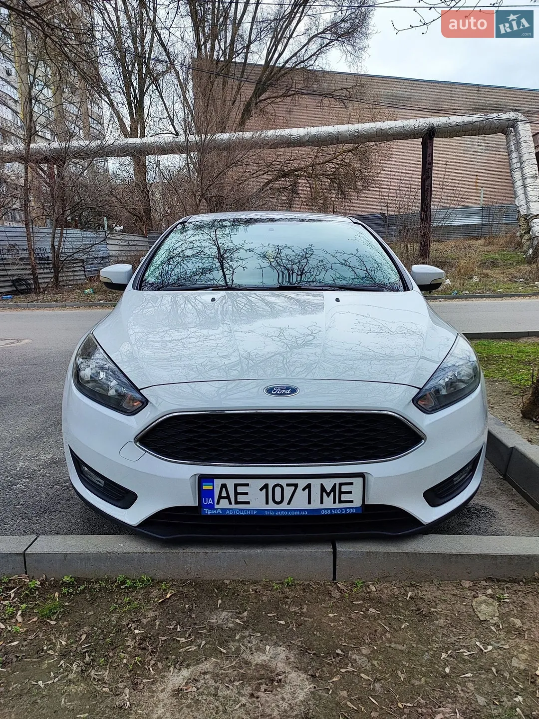 2016 Ford Focus - фото 1