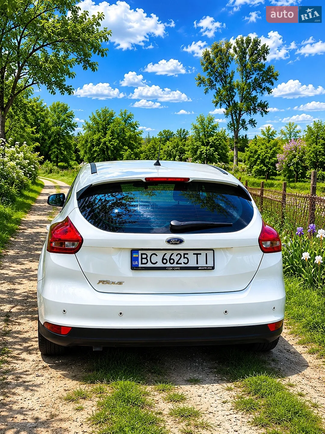 2016 Ford Focus - мініатюра 5