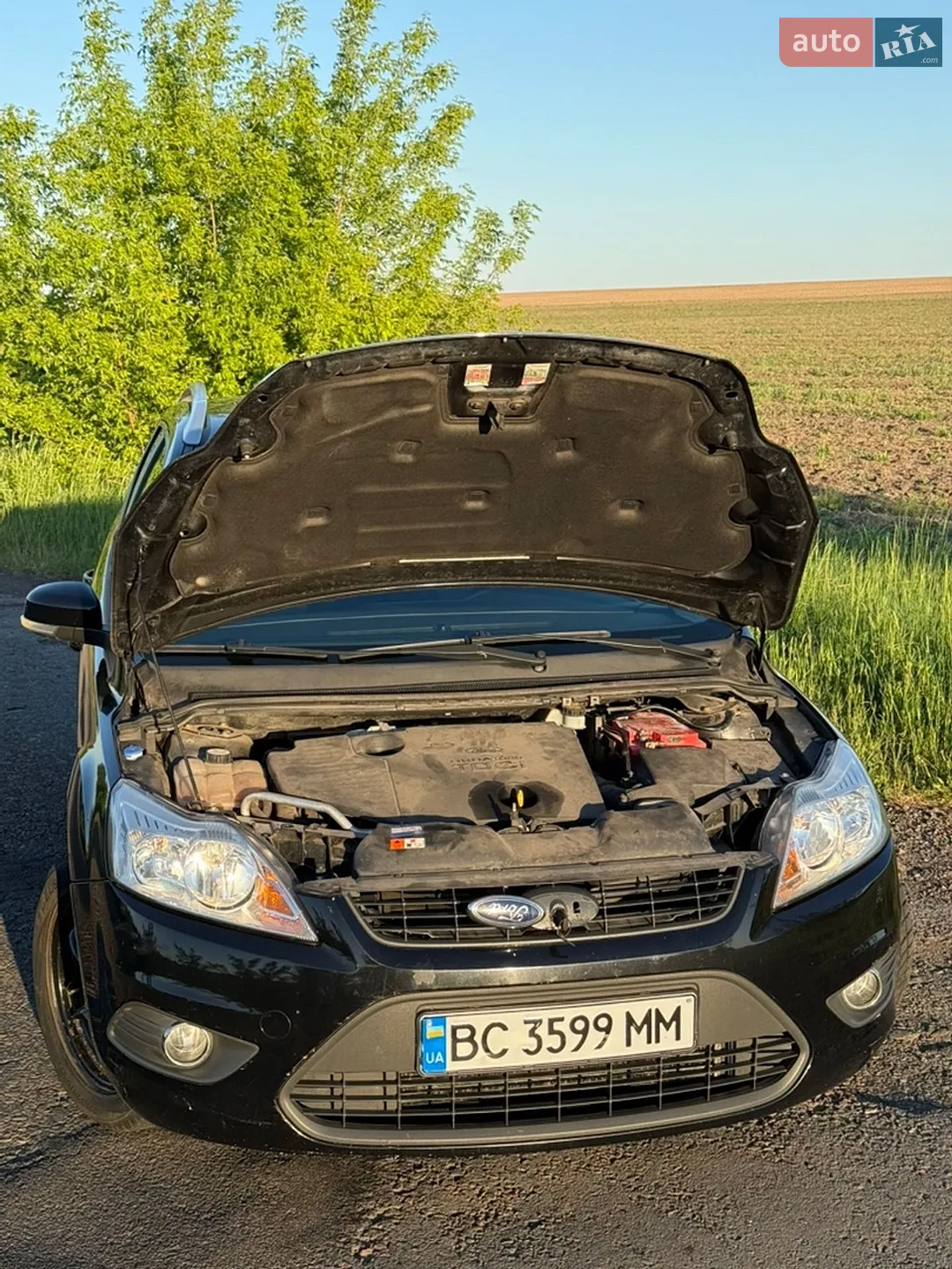 2010 Ford Focus - мініатюра 4