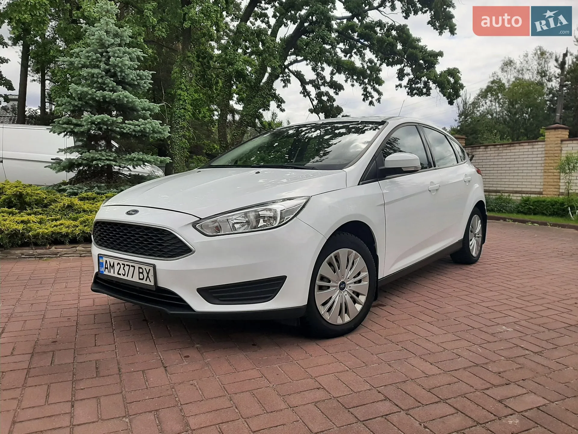 2015 Ford Focus - фото 1