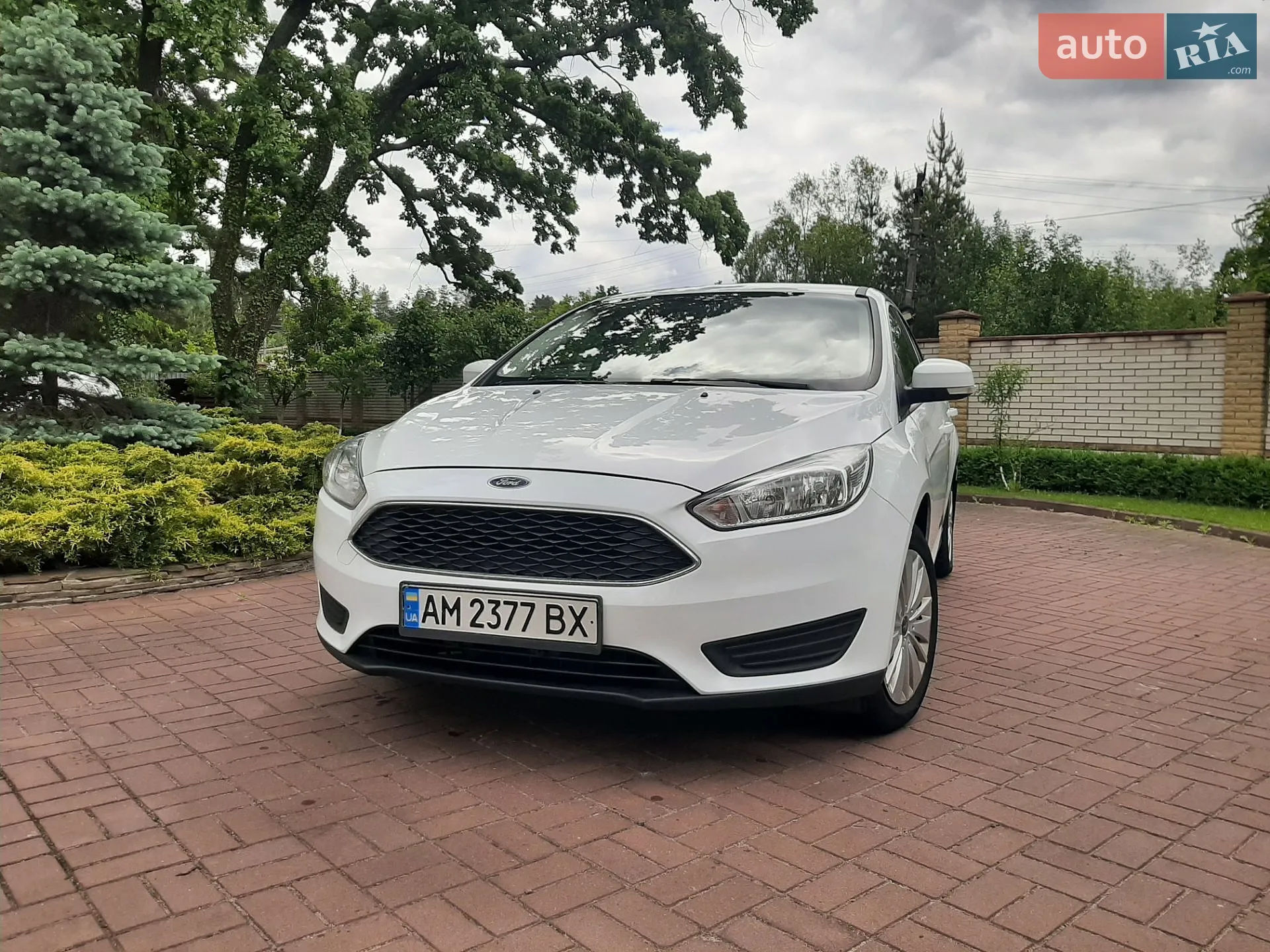2015 Ford Focus - мініатюра 2