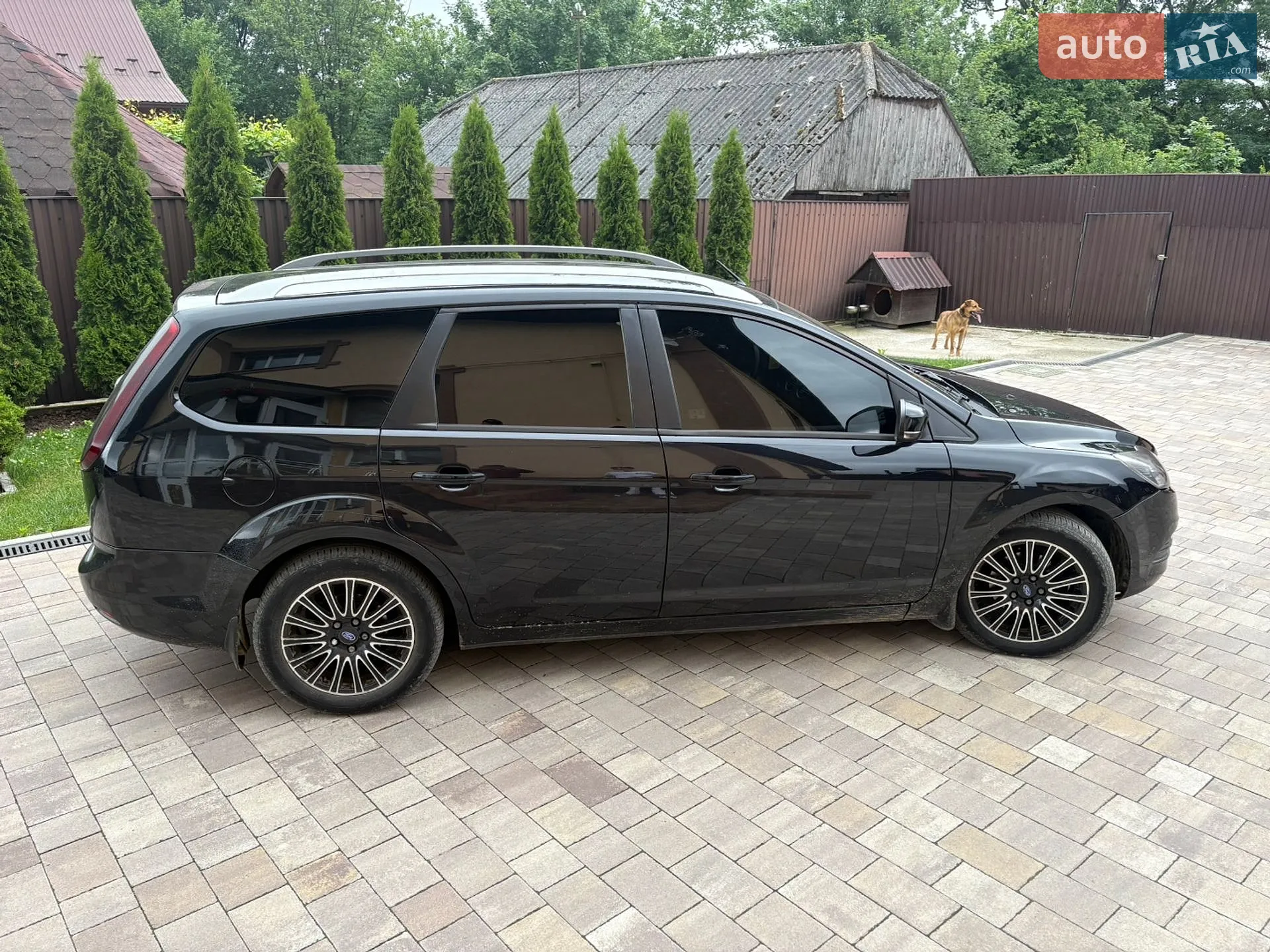 2010 Ford Focus - мініатюра 13