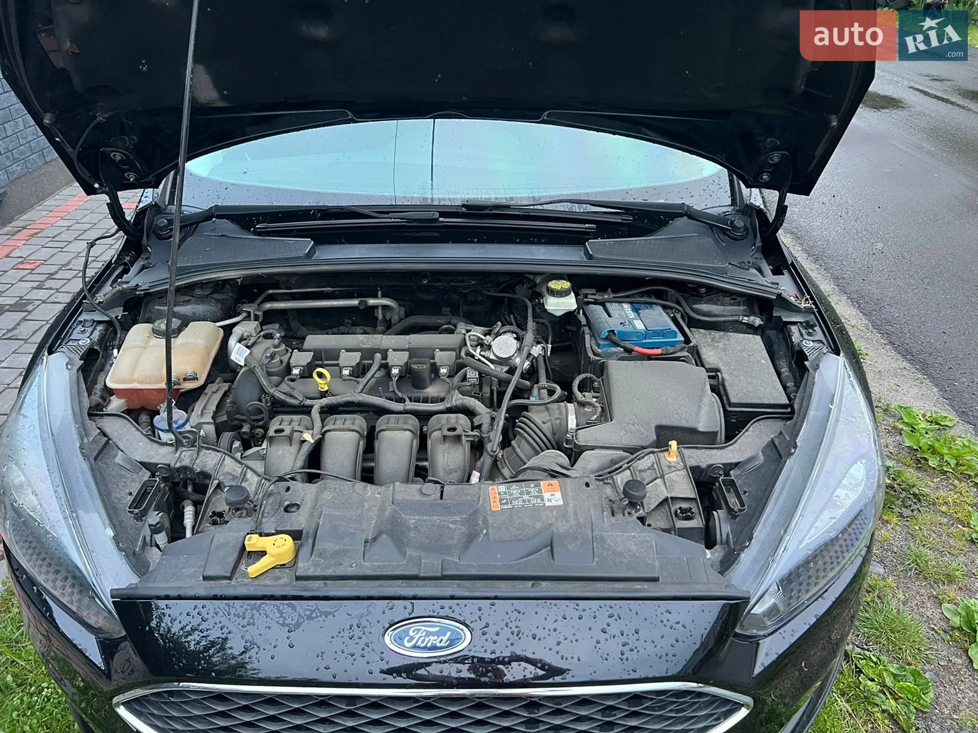 2017 Ford Focus - мініатюра 12