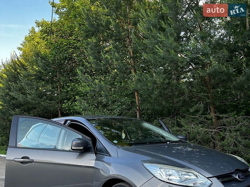 2012 Ford Focus, VIN WF0LXXGCBLCA53659:plate — фото 1 (autoria)