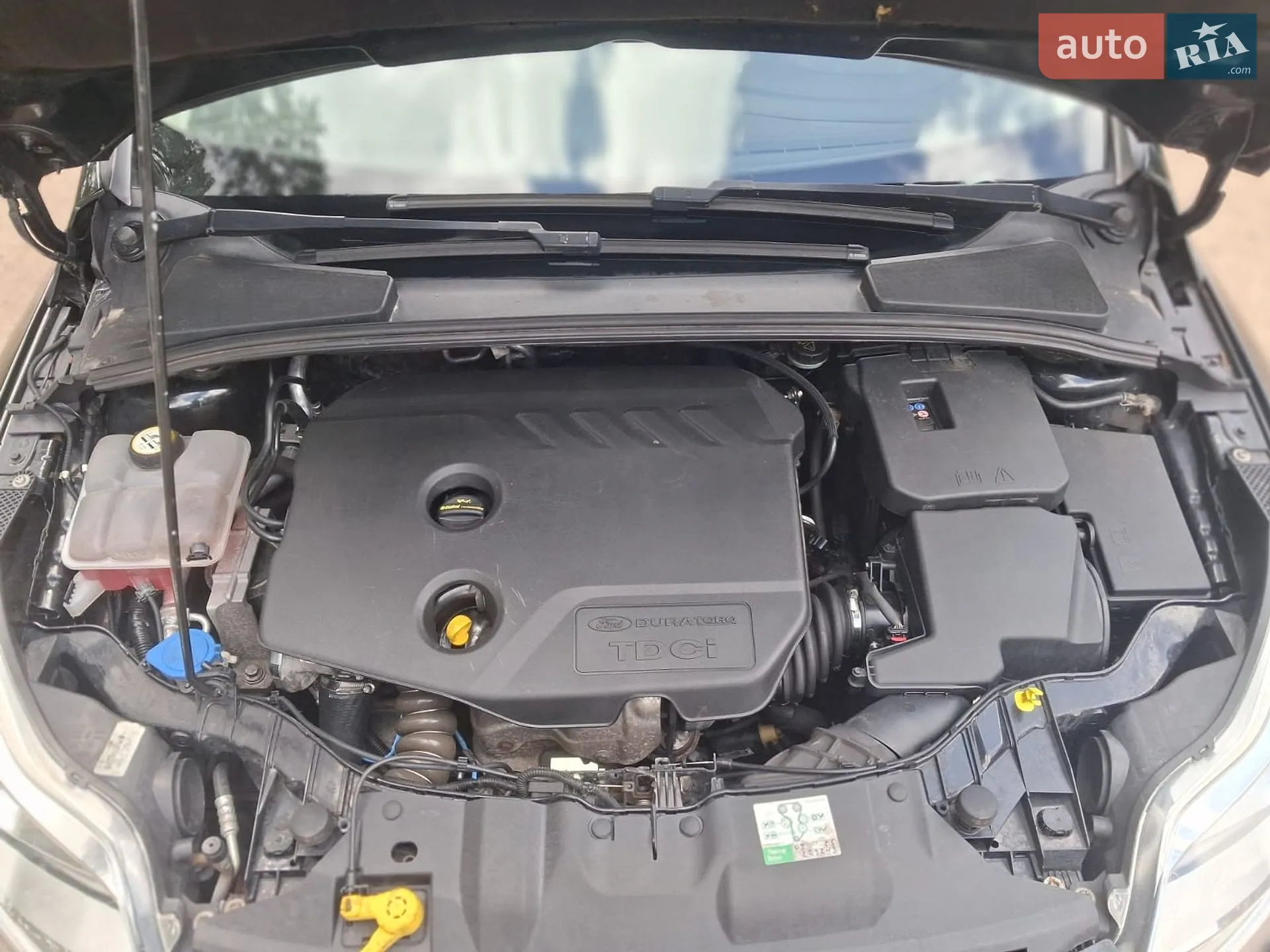 2014 Ford Focus - мініатюра 77