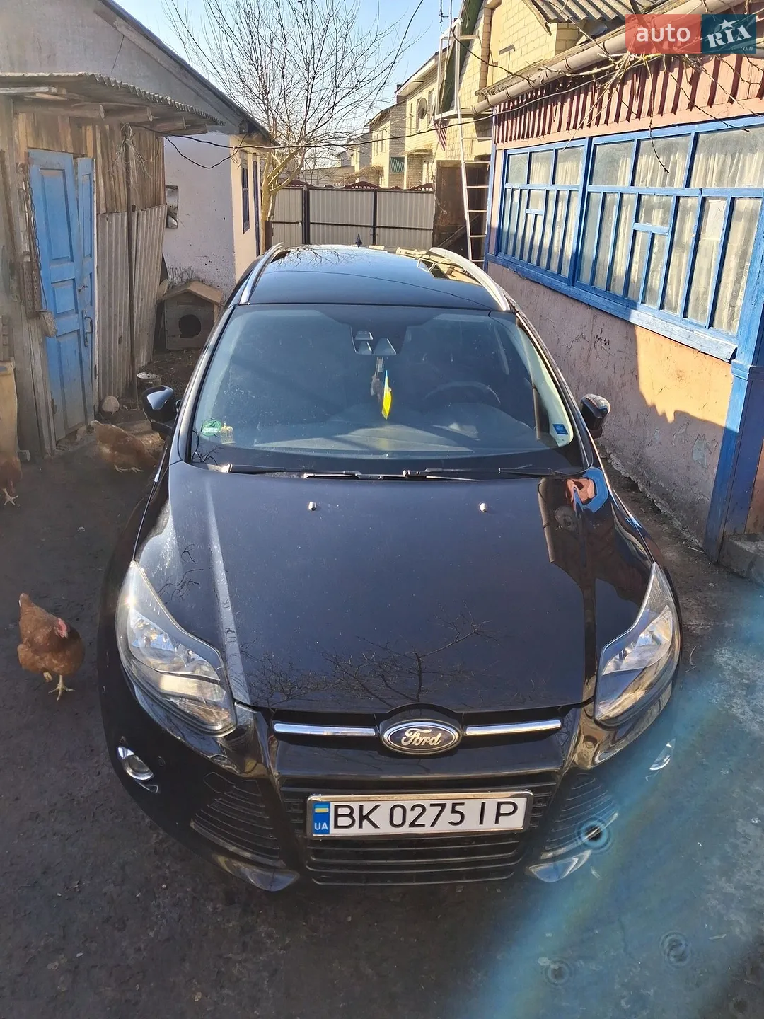 2014 Ford Focus - мініатюра 5