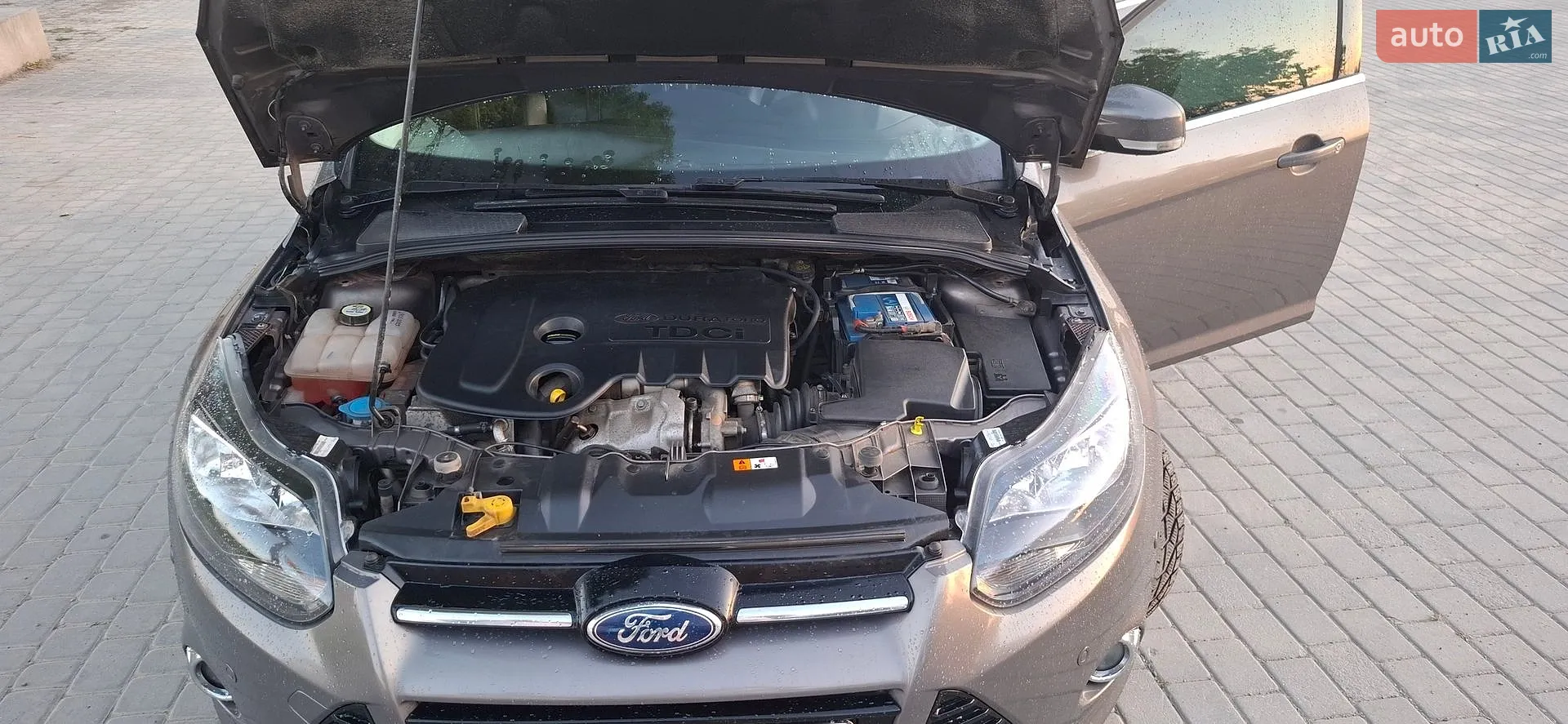 2013 Ford Focus - мініатюра 7