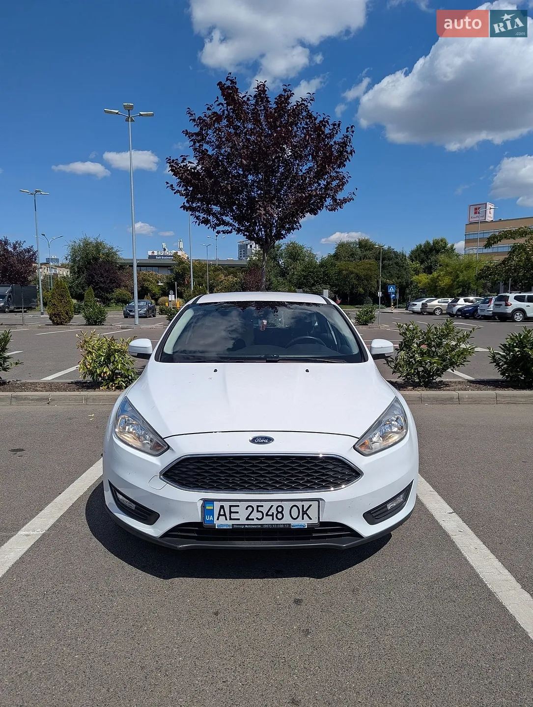 2016 Ford Focus - фото 1