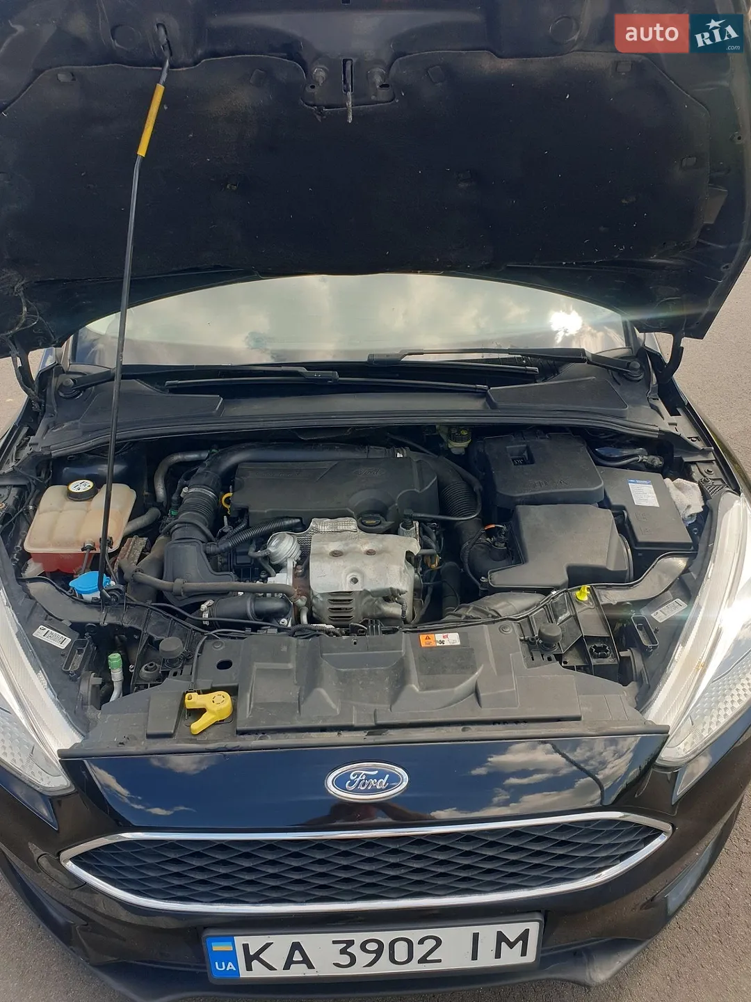 2016 Ford Focus - мініатюра 14