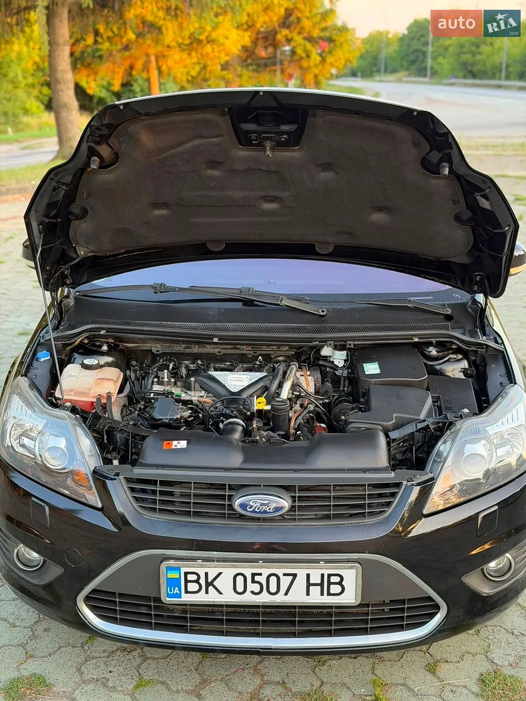2010 Ford Focus - мініатюра 47