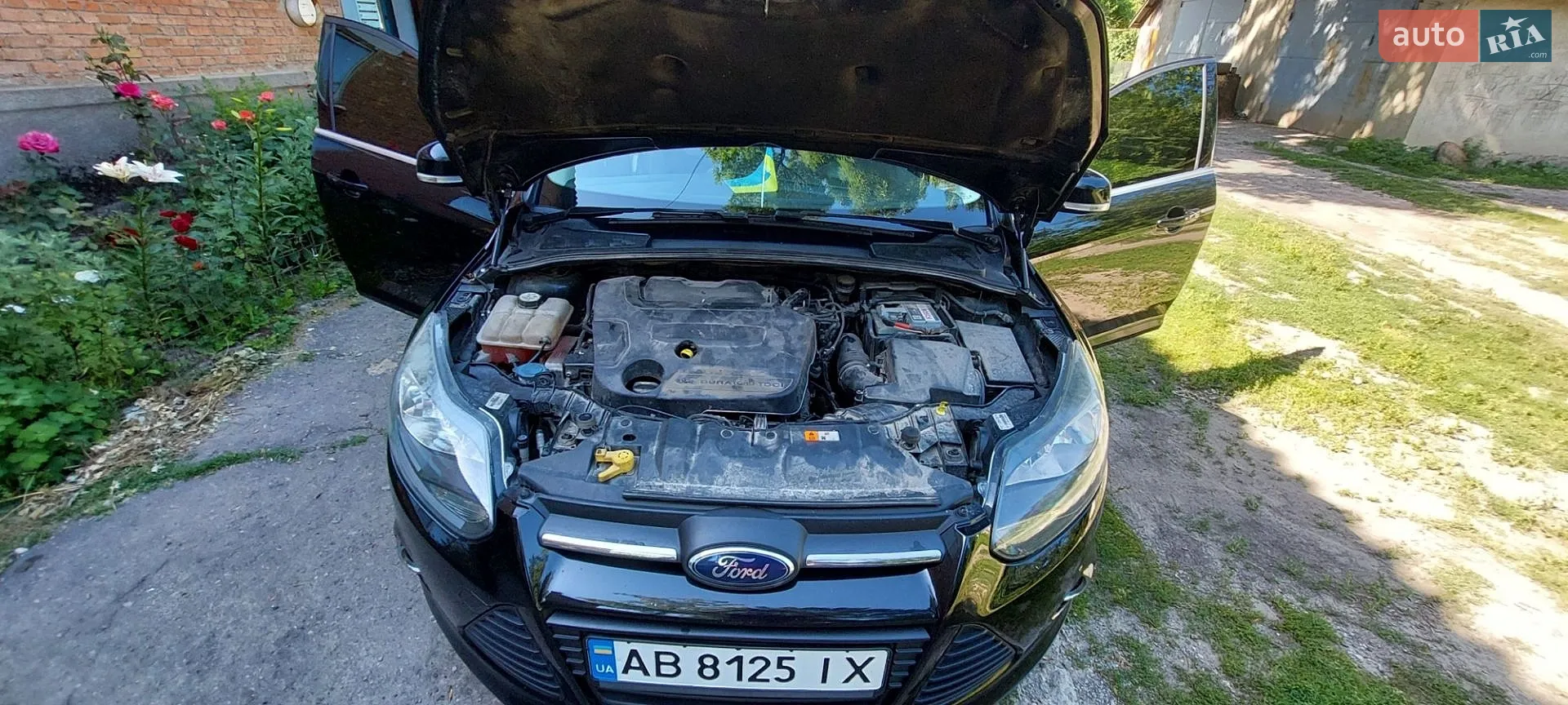 2013 Ford Focus - мініатюра 4