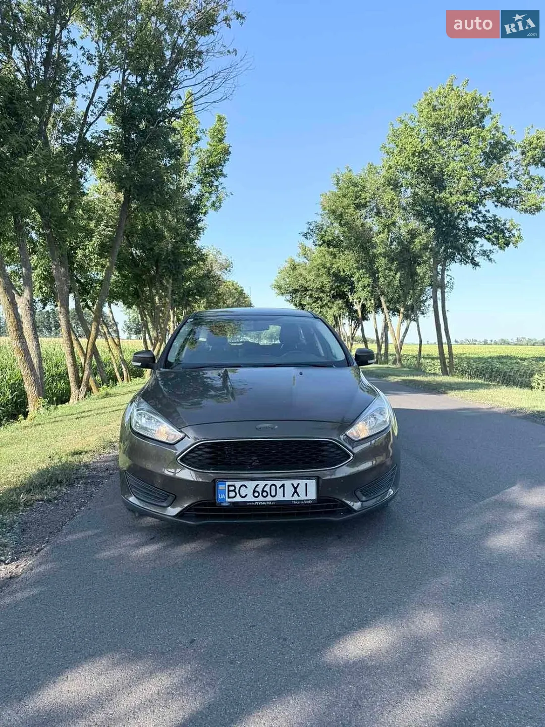 2015 Ford Focus - мініатюра 5