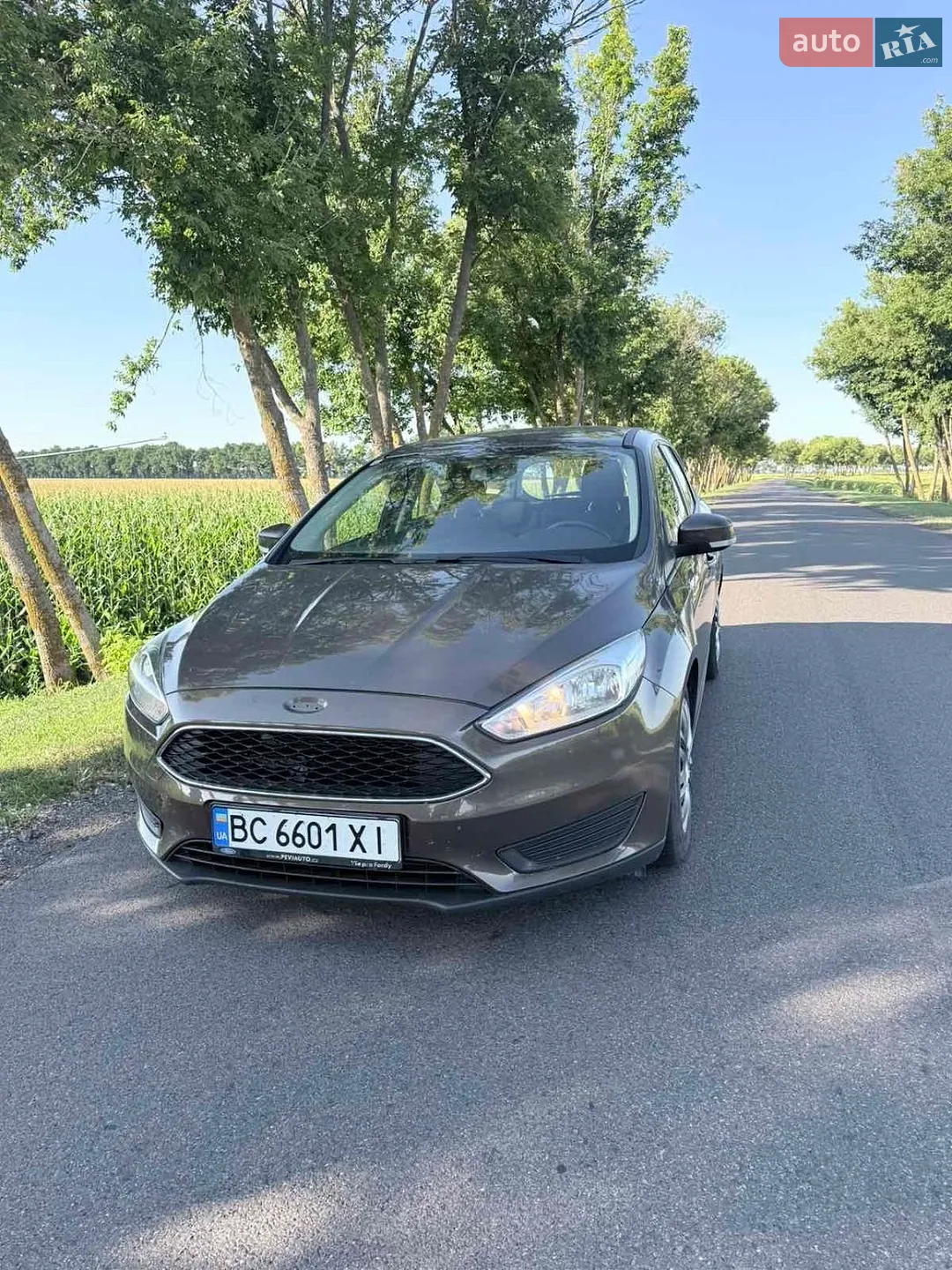 2015 Ford Focus - фото 1
