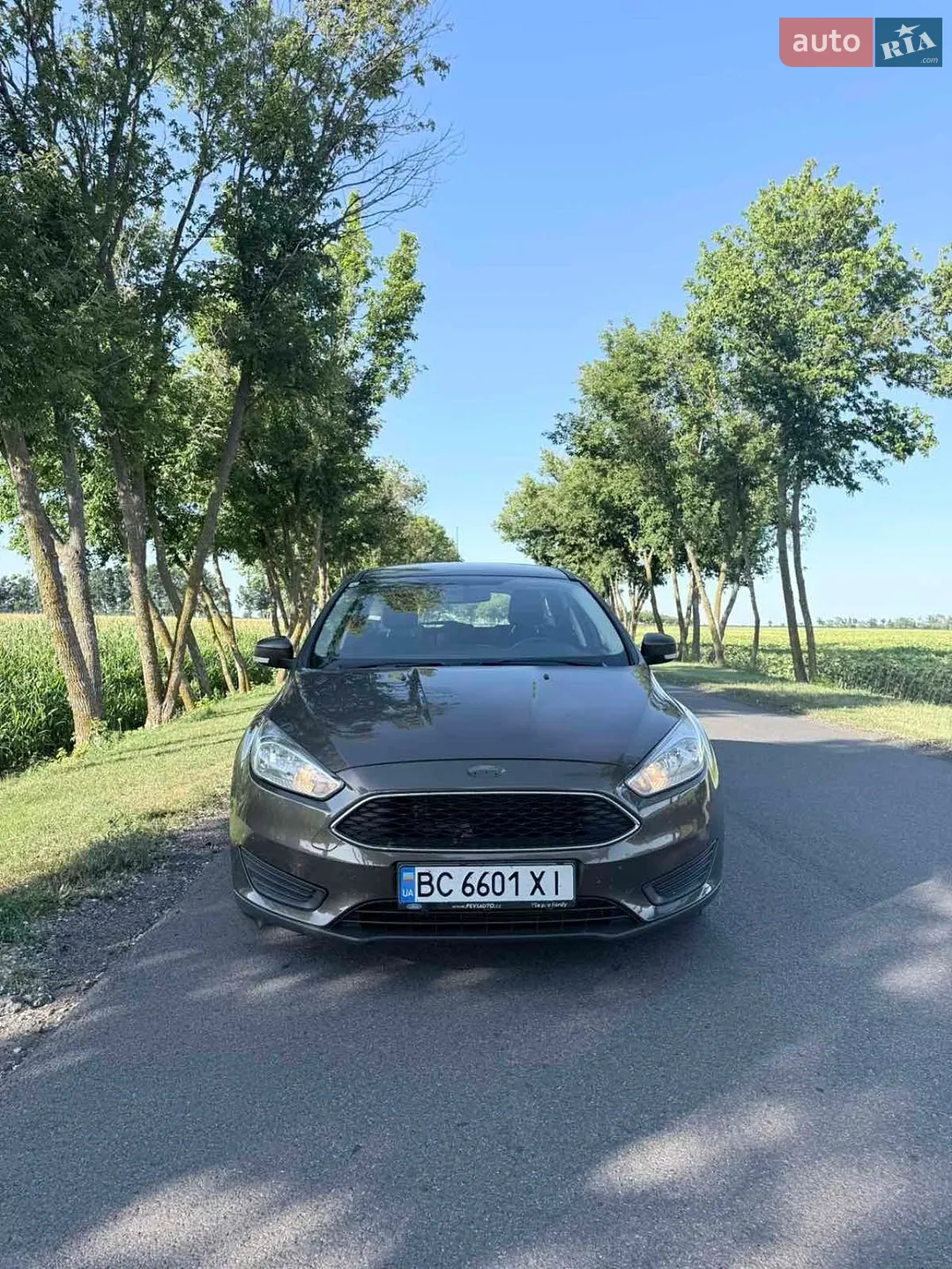 2015 Ford Focus - мініатюра 7