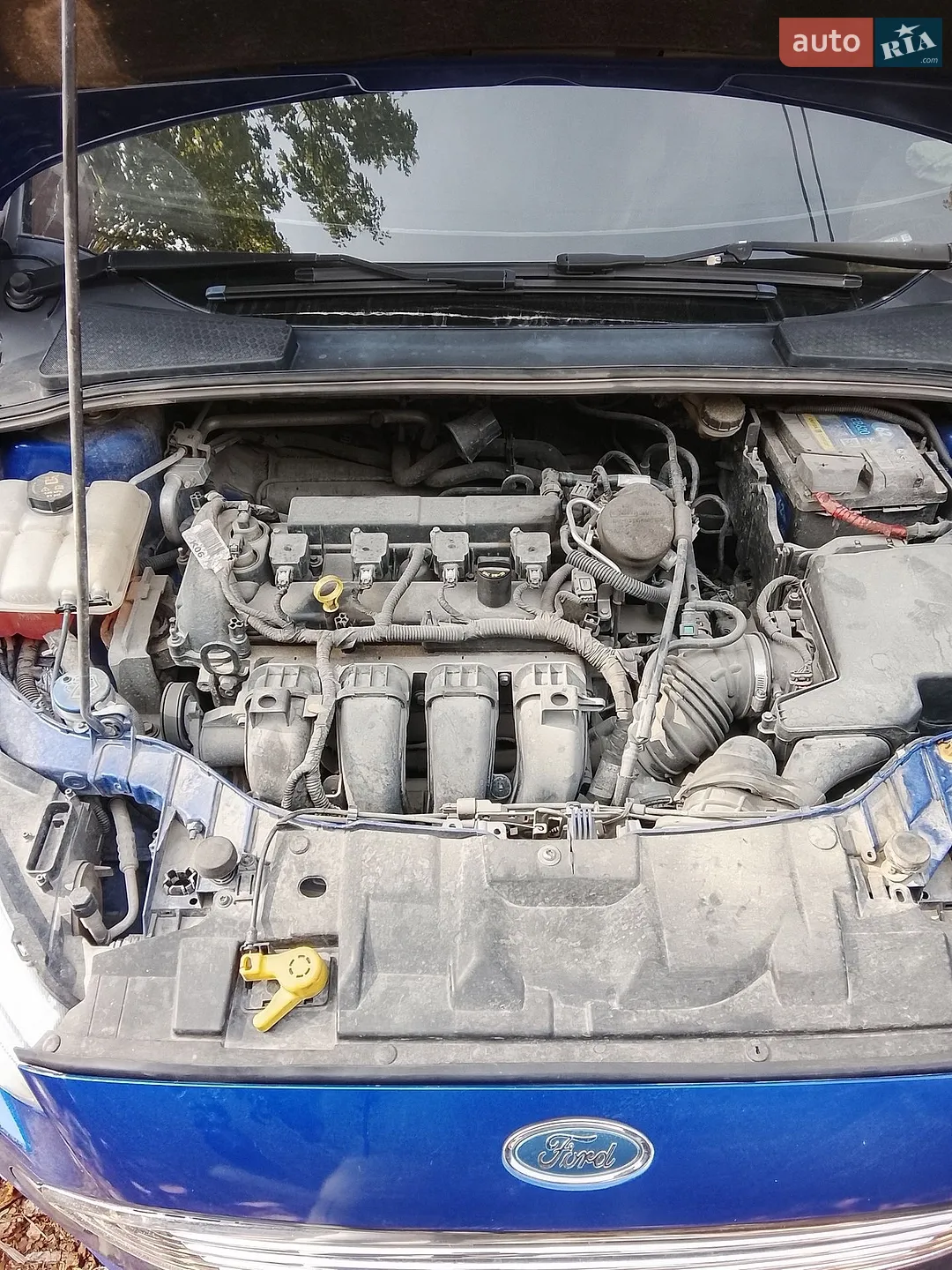 2015 Ford Focus - мініатюра 4