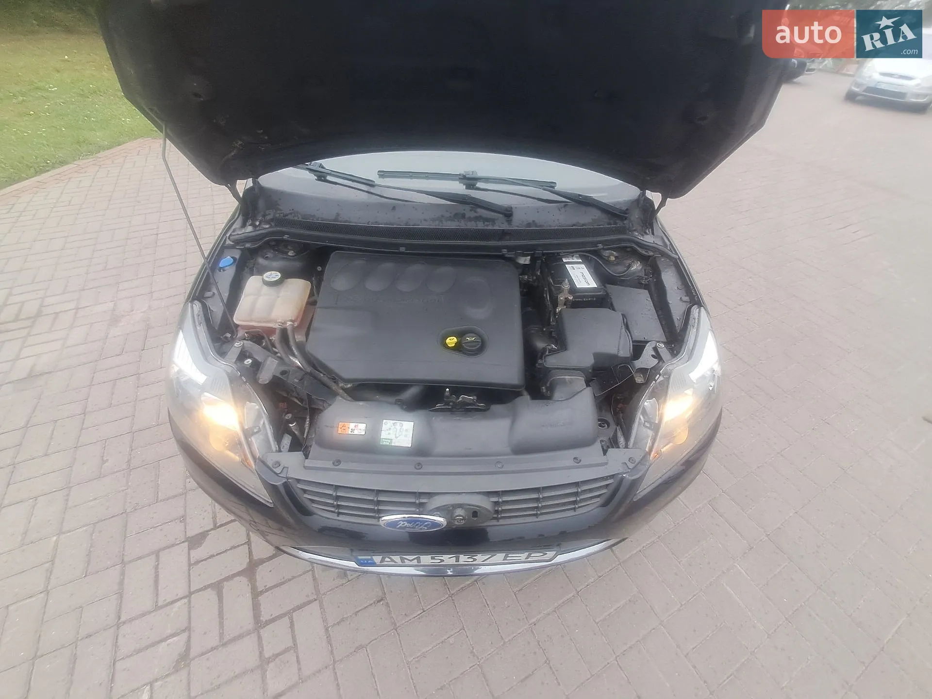2010 Ford Focus - мініатюра 13