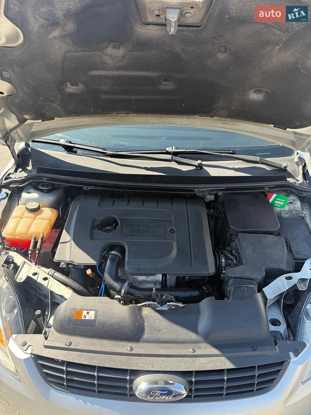2010 Ford Focus - мініатюра 4