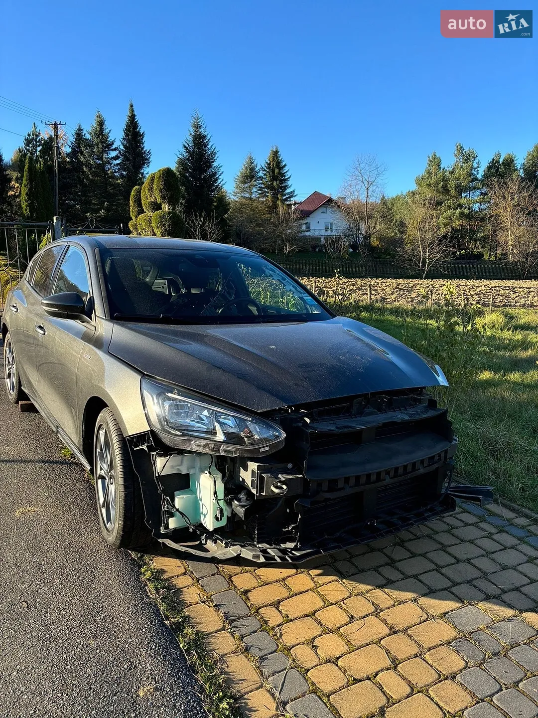 2021 Ford Focus - мініатюра 4