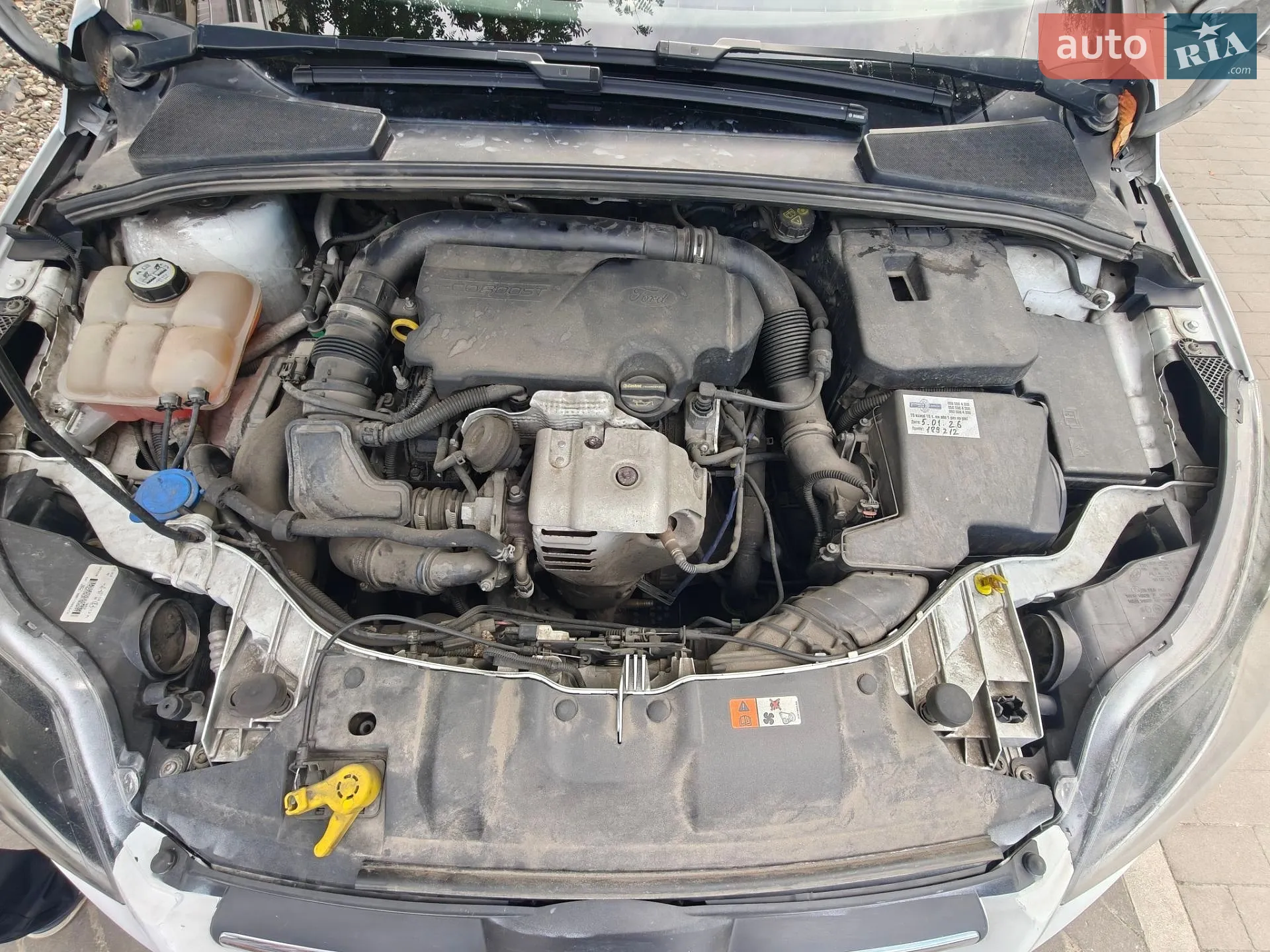 2013 Ford Focus - мініатюра 12