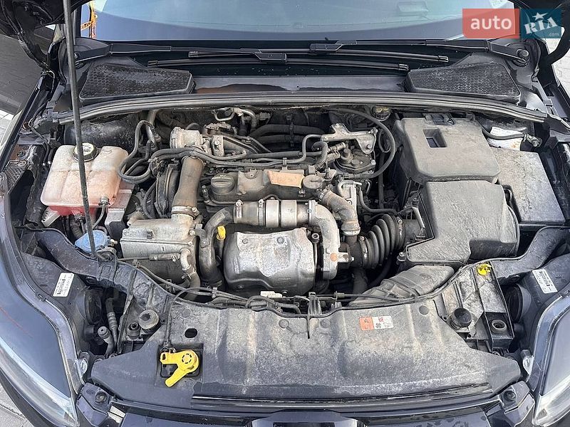 Хетчбек Ford Focus 2013 в Стрию