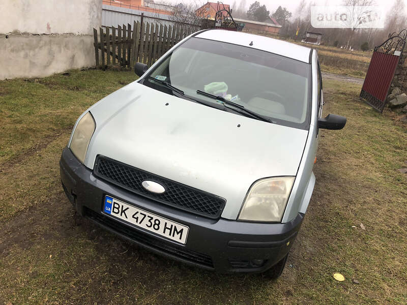 Хэтчбек Ford Fusion 2002 в Рокитном