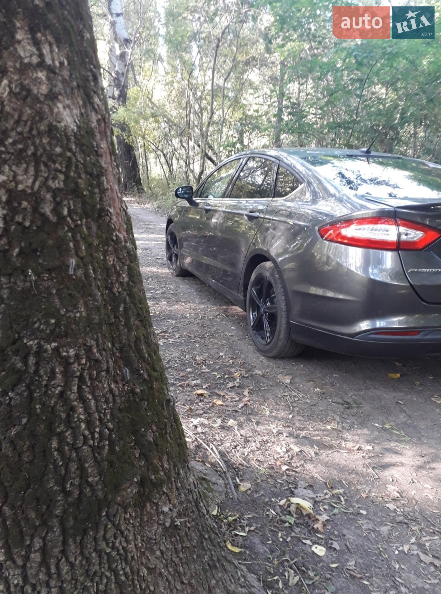 2015 Ford Fusion - мініатюра 11