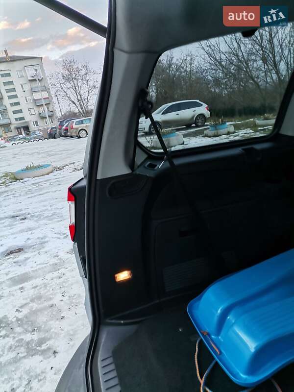 Мінівен Ford Galaxy 2009 в Кривому Розі