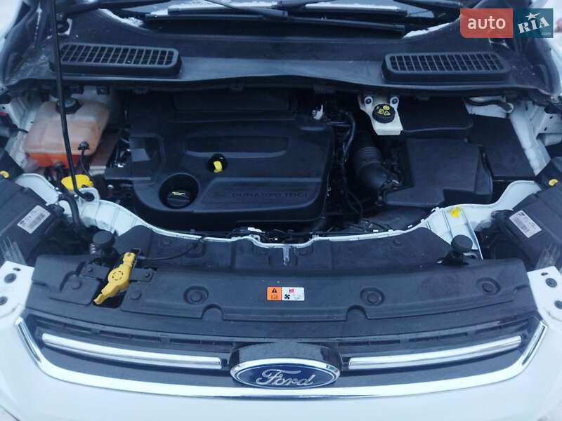 Внедорожник / Кроссовер Ford Kuga 2013 в Звягеле фото 16 Внедорожник / Кроссовер Ford Kuga 2013 в Звягеле